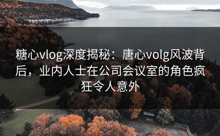 糖心vlog深度揭秘:唐心volg风波背后,业内人士在公司会议室的角色疯狂令人意外