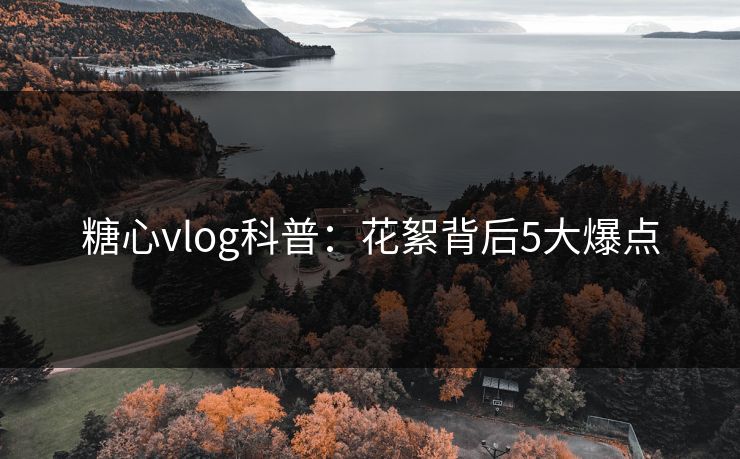 糖心vlog科普:花絮背后5大爆点