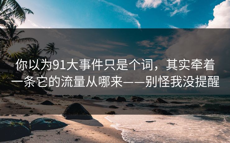 你以为91大事件只是个词，其实牵着一条它的流量从哪来——别怪我没提醒